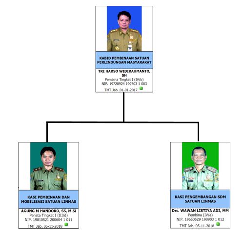 Struktur Organisasi Bidang Limnas Dinas Satpol Pp Provinsi Jateng